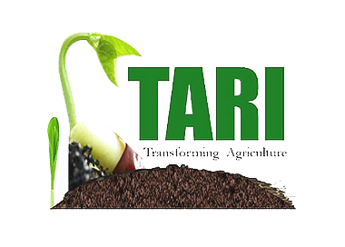 TARI
